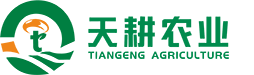 tiangeng